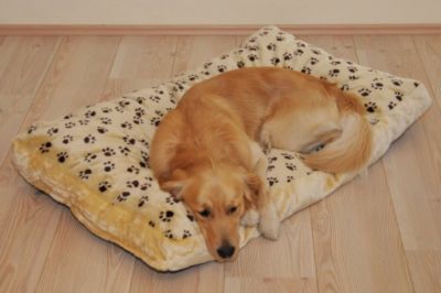 Hundekissen Â