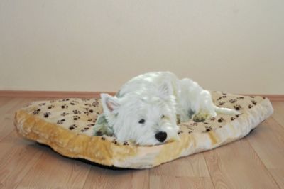 Hundekissen Â