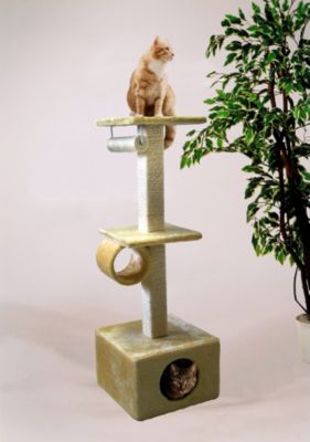 Cats World beige Preisvergleich