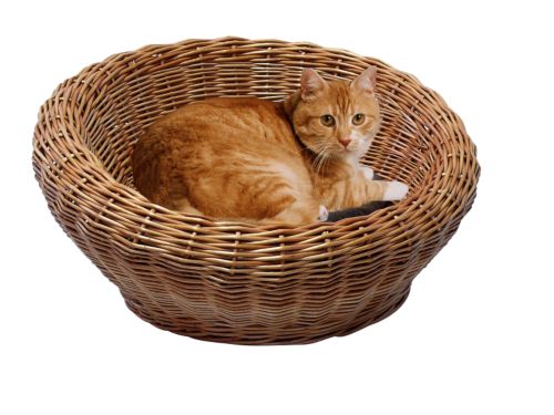 Katzenkorb Weide mit Kissen, &Oslash; 70 cm