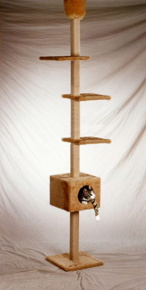 Deckenkratzbaum, beige