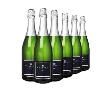 Villebois CrÃ©mant Brut (Loire), 2006