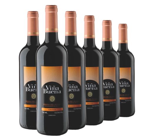 Viña Buena Crianza 2007