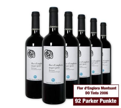 Flor d`Englora Montsant DO Tinto 2006
