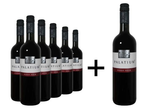 Palatium Pinot Noir Trocken - Deutscher Wein Trocken