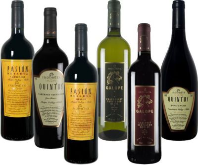 Indomita Chile Weinpaket