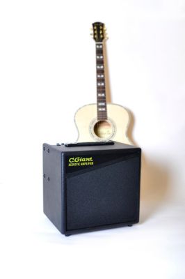 C. Giant AC-60 AkustikverstÃ€rker