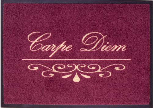 Artra Fu&szlig;matte waschbar Motiv \" Carpe Diem bordeaux \" Preisvergleich