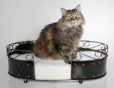 Artra Katze Hund Tiersofa: \"Daddy P.\" Preisvergleich