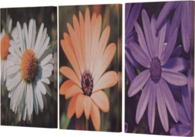 Wandbild 3er-Set \"Blume\" Preisvergleich