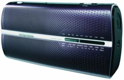 Grundig Linie Music 50 / RP 5200 Preisvergleich