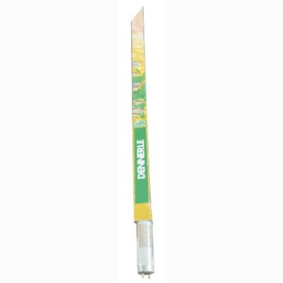 Dennerle TROCAL KONGO-WHITE