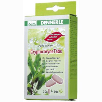 Dennerle CryptocoryneTabs 30 Tabs Preisvergleich