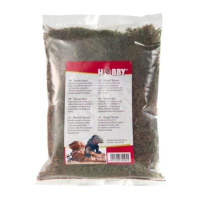 Hobby-Dohse Terrano Moos Dekoration Preisvergleich