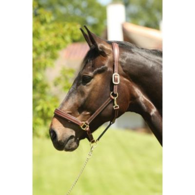 Produkt Karlie Reitsport CATAGO Lederhalfter SOFTY
