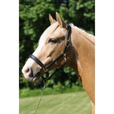 Karlie Reitsport CATAGO Lederhalfter SOFTY