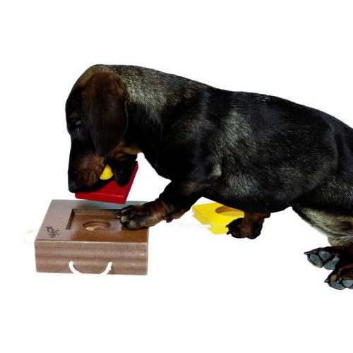 Trixie Dog Activity Gamble Box