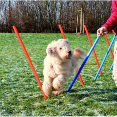 Trixie 12 Stangen Agility-Parcours