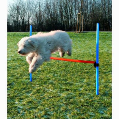 Trixie Agility HÃŒrde