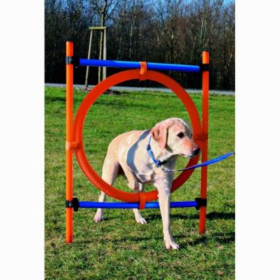 Trixie Agility Ring