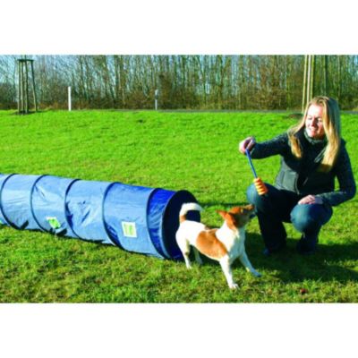 Trixie Dog Activity Agility Tunnel Preisvergleich