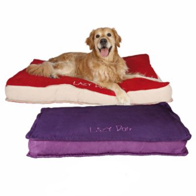 Trixie Kissen Lazy Dog
