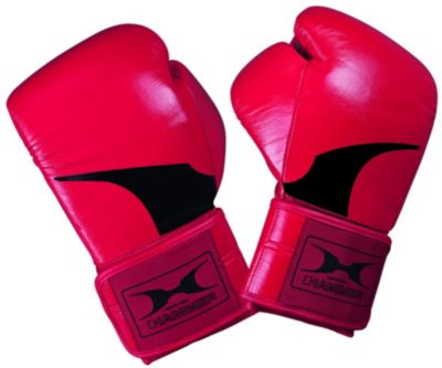 Hammer Boxhandschuhe Premium