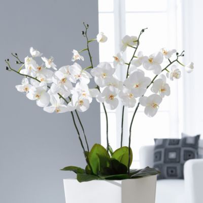 Kunstblume Â