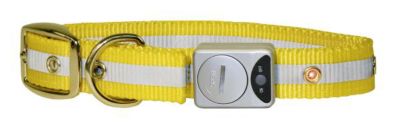 Kerbl Flash & Reflex Hunde Halsband gelb, 25 mm / 35 bis 43 cm Preisvergleich
