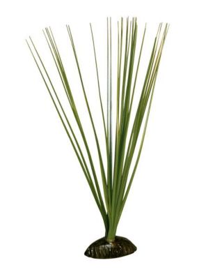 Kerbl Aquarium-Seidenpflanze, 25 cm BLYXA JAPONICA