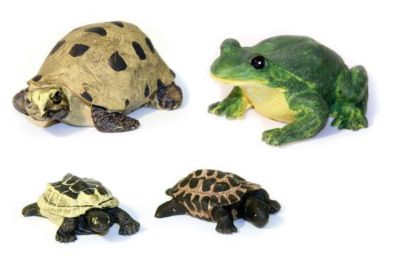 Kerbl Aquariumdeko, FrÃ¶sche und SchildkrÃ¶ten 5 bis 8 cm