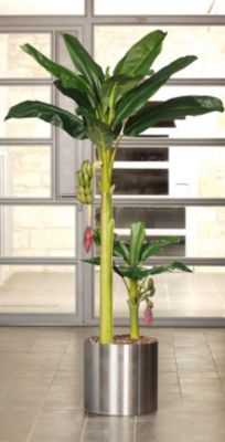 Kunstpflanze Bananenbaum Preisvergleich