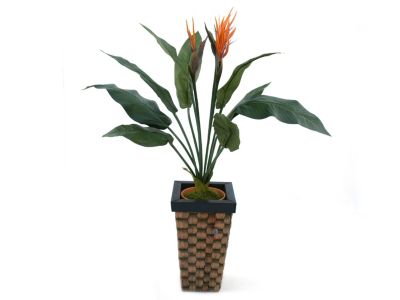 Kunstpflanze Strelizie, 80 cm Preisvergleich
