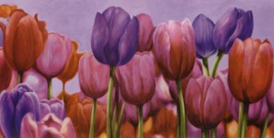 Bild Campo di tulipani 100x50 cm von Cortese Preisvergleich