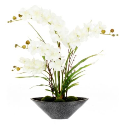 Kunstpflanze Orchidee Vanda Preisvergleich