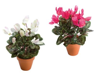 Kunstblumen Alpenveilchen, 2er-Set Preisvergleich