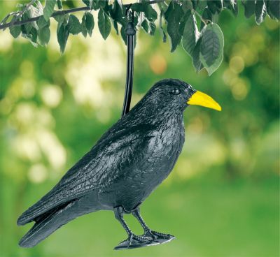 wenko Vogelschreck KrÃ€he