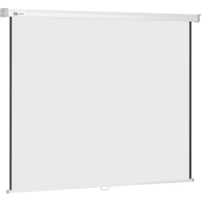 Leinwand Deluxx Professional Rollo Proscreen