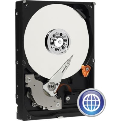 Western Digital Festplatte Western Digital WD2500AAJB 250 GB