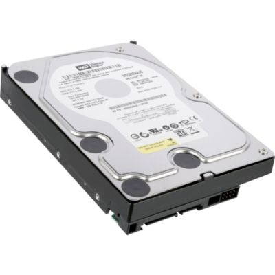 Western Digital Festplatte Western Digital WD3200AAJS 320 GB