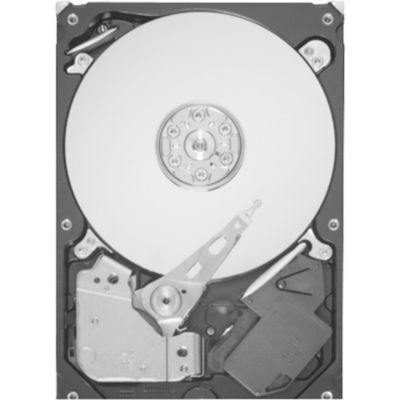 Seagate Festplatte Seagate ST3500413AS 500 GB