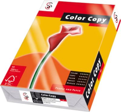 Papyrus Color-Copy 160 g/qm wei&szlig;, geriest, FSC Papier Preisvergleich
