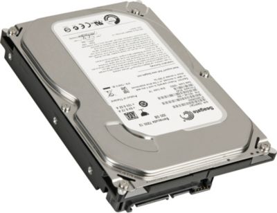 Seagate Festplatte Seagate ST320DM000 320 GB