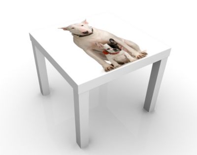 Design Tisch Bull Terrier And Friend 55x45x55cm Beistelltisch, Couchtisch, Motiv-Tisch, Wohnzimmer, Dogge, Kampfhund, Pitbull, Hund, Tier