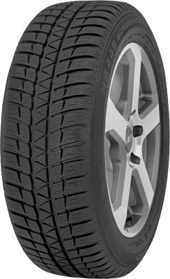 FALKEN EUROWINTER HS 449 205/50RF17 93H TL Wint