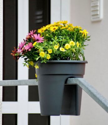 Flowerclip 3er Set On the Age, grau Preisvergleich
