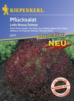 Lollo Rossa Solmar Preisvergleich