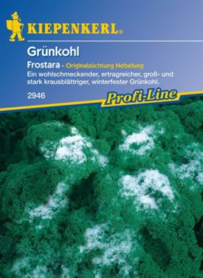 Gr&uuml;nkohl Frostara Preisvergleich