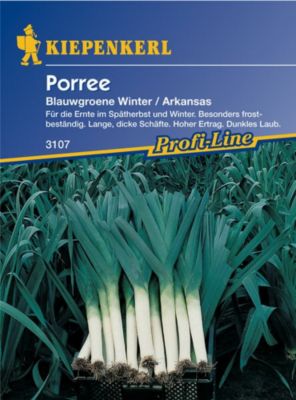 Porree Blaug&uuml;ner Winter Arkansas Preisvergleich