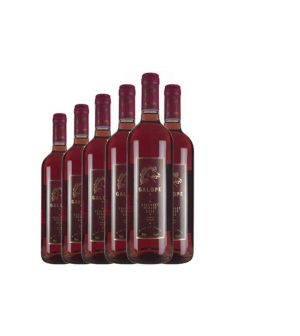 Indomita Galope - Cabernet Merlot Rose 2009